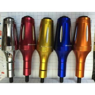 Gù chống đỡ rizoma sau