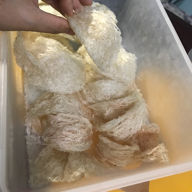 Yến sào khô rút lông