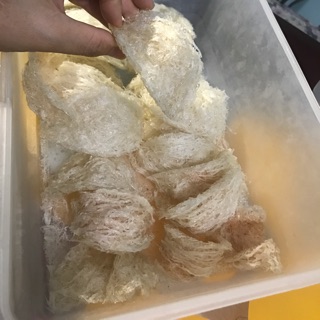 Yến sào khô rút lông