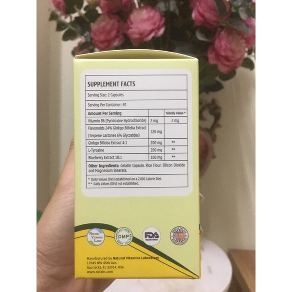 Bổ Não Ginko billoba