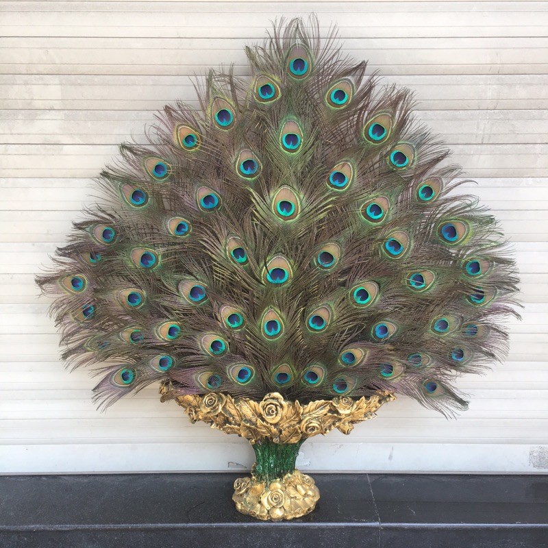 [ HCM ] Lông Công Phong Thuỷ - FREESHIP | BigBuy360 - bigbuy360.vn