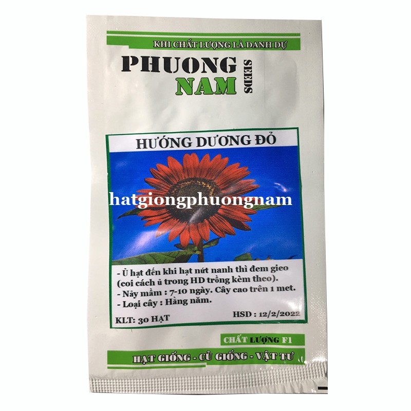 30H - HẠT GIỐNG HOA HƯỚNG DƯƠNG ĐỎ