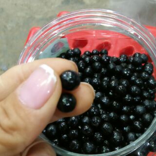 Hà thủ ô  đã bào chế 400/1kg (200/1 lọ  là 0,5kg)