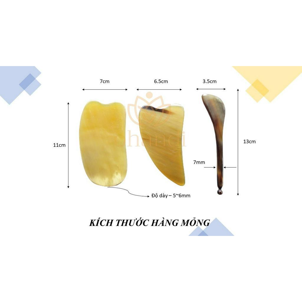 Bộ Dụng Cụ Massage Chăm Sóc Da Mặt Bằng Sừng Trâu Tự Nhiên