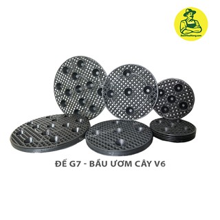 Đế bầu ươm G7- nhiểu đường kính