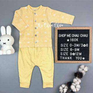 Bộ ctd gấu vàng nous 2019