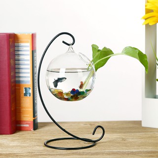 Bể cá mini để bàn treo chữ C
