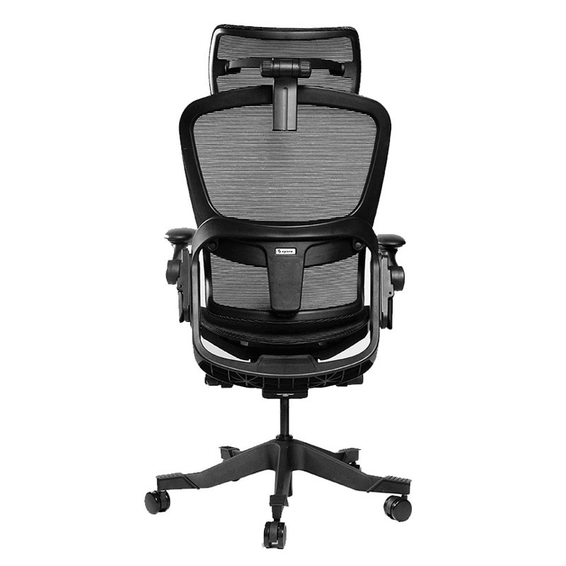 Ghế công thái học ergonomic Epione Easy Chair (All Black / Cool Gray) (Hàng chính hãng)