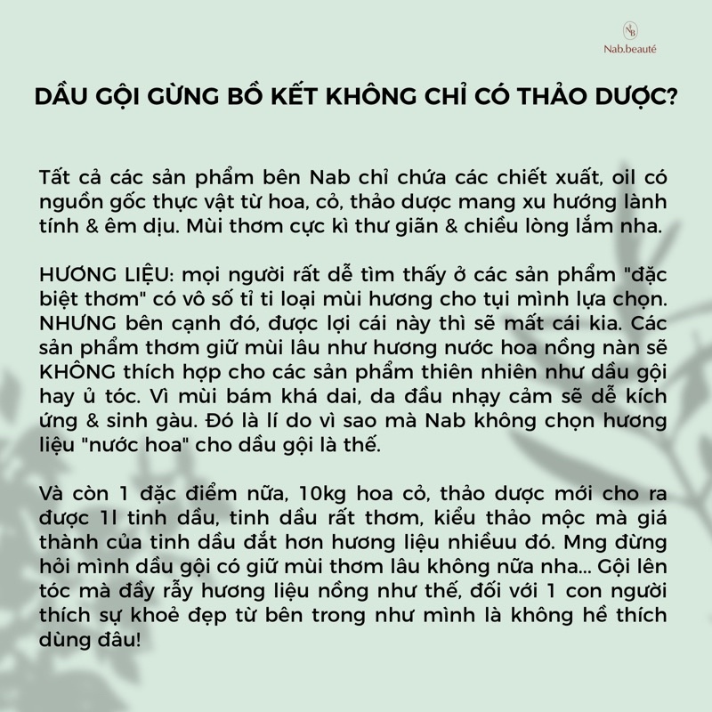 [TÓC DẦU] Dầu gội thảo mộc Gừng Bồ Kết Nab.beauté (bản mới)