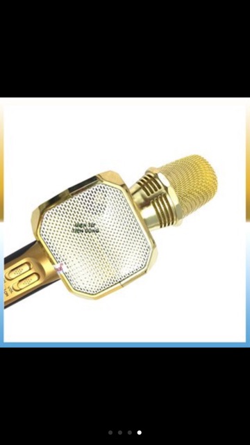 Mic hát Karaok SD 10 (Chính hãng),Loại XỊN