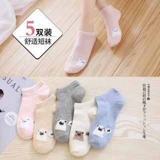 Combo 5 đôi tất nữ cổ ngắn