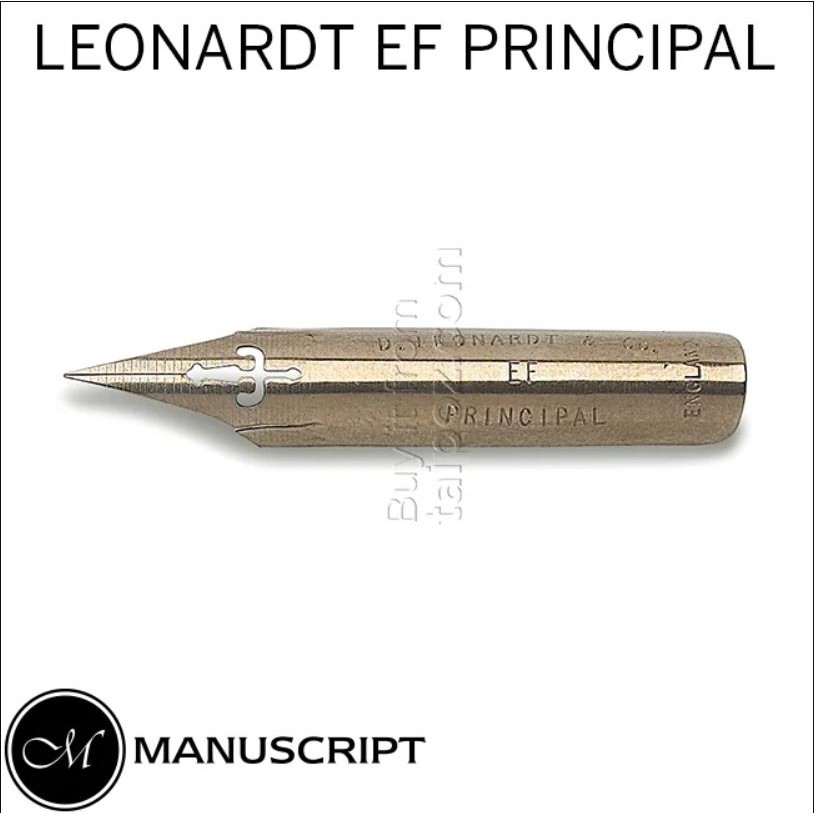 - Ngòi viết CALLIGRAPHY Leonardt EF Principal