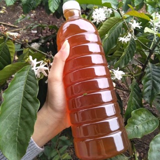 MẬT ONG HOA CÀ PHÊ BẢO LỘC NGUYÊN CHẤT CHAI 1 LÍT