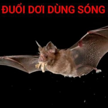 Máy Đuổi Dơi Côn Trùng Cao Cấp - Thiết Bị Cửu Long Đuổi Dơi Bằng Sóng Siêu Âm Loại Công Suất Lớn Hiệu Quả 100%