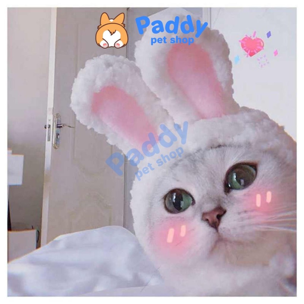 [Mã 153FMCGSALE1 giảm 10% tối đa 40K đơn 250K] Nón Tai Thỏ Bông Cho Chó Mèo