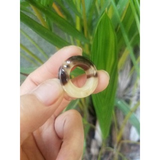 Bộ 3 cái cửa sổ sừng tròn trơn dành cho lồng Mi, Chòe lửa