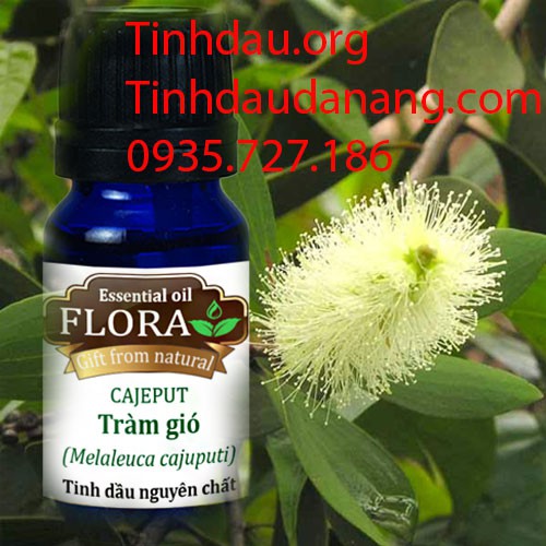 Tinh dầu tràm gió