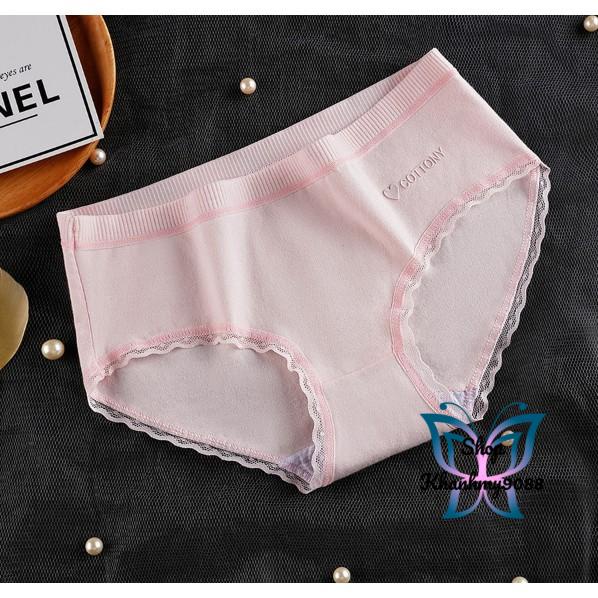 Quần lót nữ Cotton viền ren lưng thun có chọn size chọn màu QL05