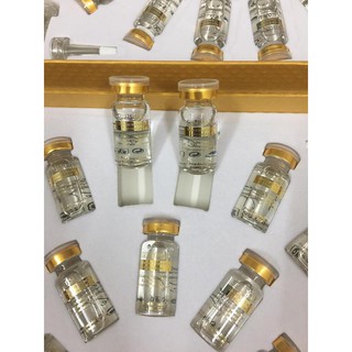 Tế bào gốc dưỡng trắng.