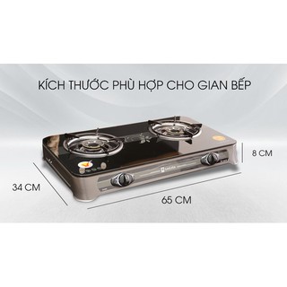 Bếp gas Sakura SA-650G (Bếp ga đôi)