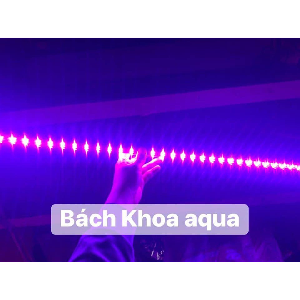 Led thanh Fort Di Siêu Rẻ 50cm