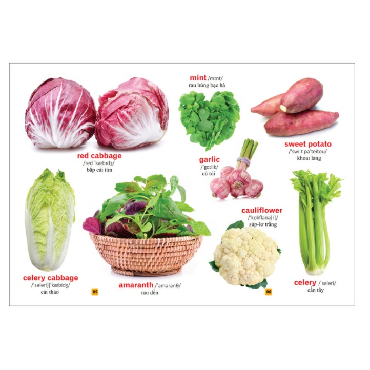 Sách - Từ điển bằng tranh - Rau củ quả