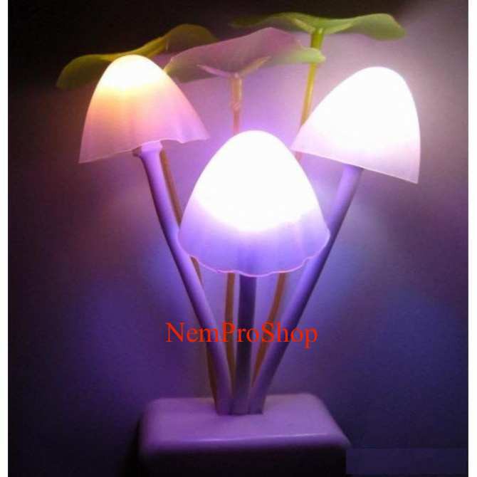 Đèn ngủ hình nấm avatar