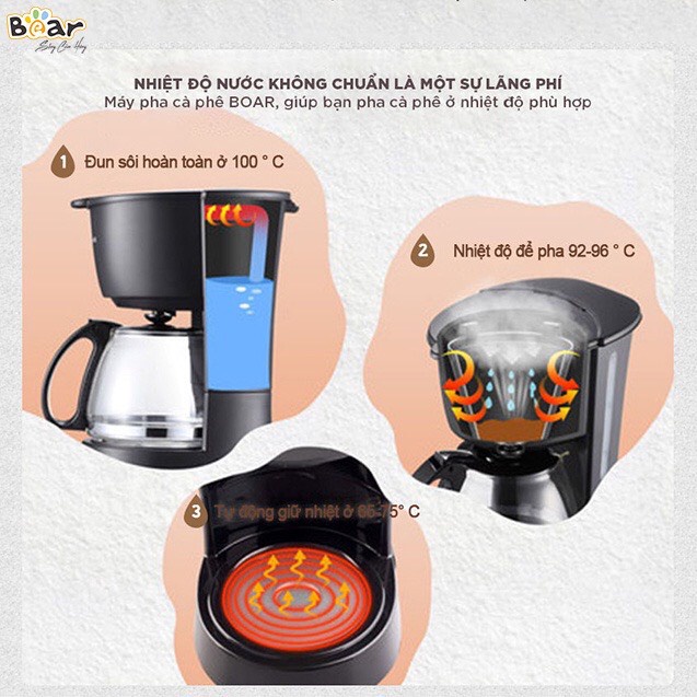 (BẢN QUỐC TẾ) Máy Pha Cafe, Máy Pha Trà Tự Động Bear VF-B06V2 - Bảo hành 18 tháng