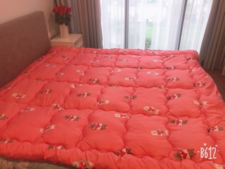 Topper -  Tấm làm mềm nệm cao cấp (nhiều màu)