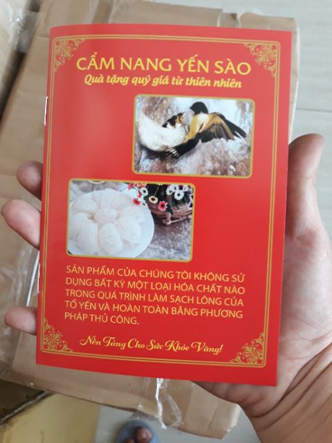 10 cẩm nang yến sào