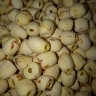 Sen khô, bột sen 1kg