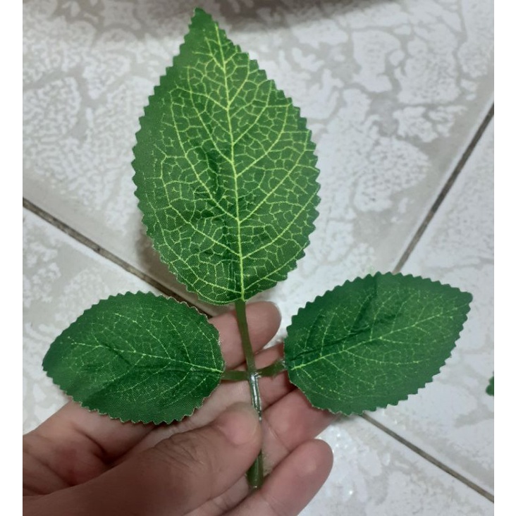 10 Lá hoa hồng gân , lá hoa hồng giả