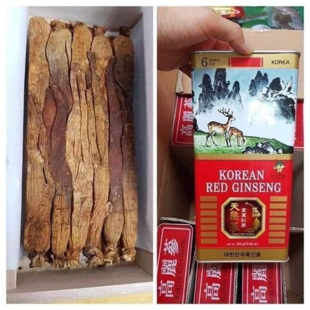 Sâm khô hộp thiếc