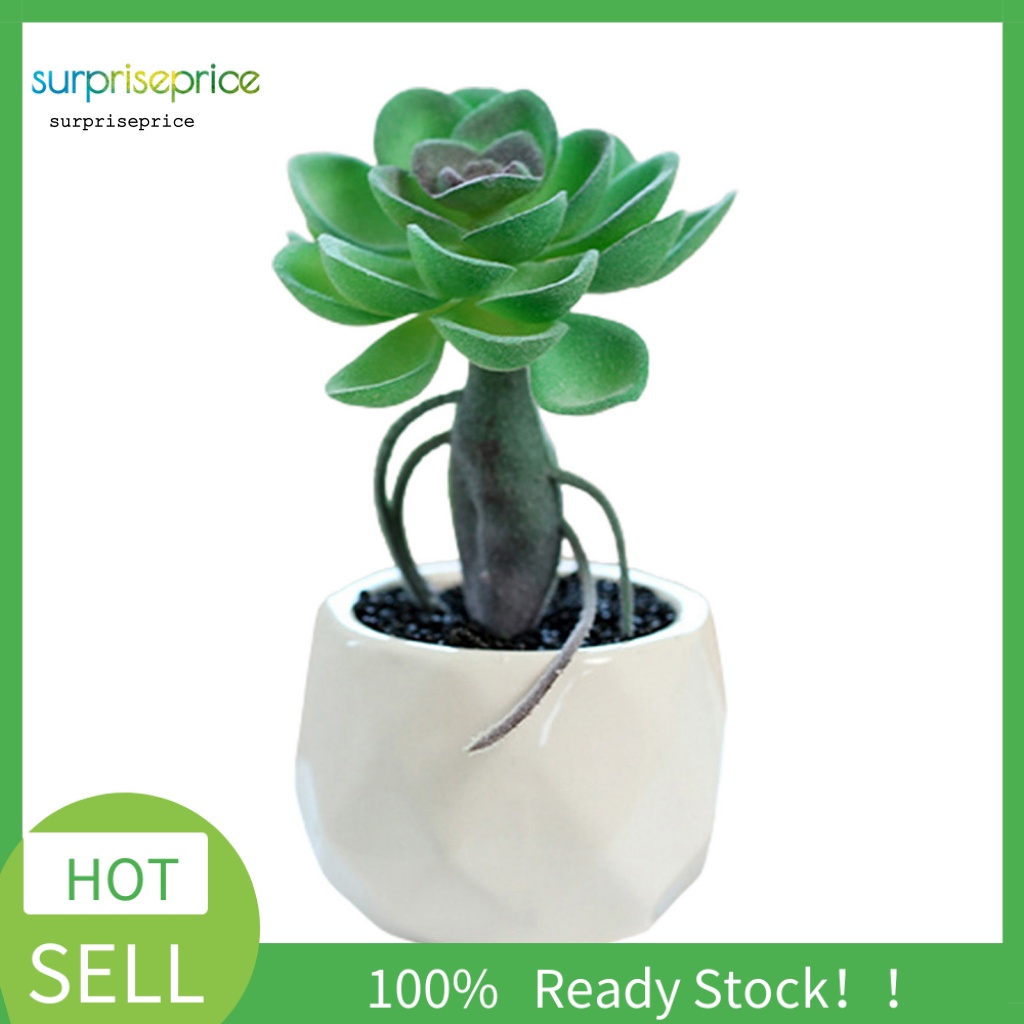 Chậu Cây Giả Mini Dùng Trang Trí Nhà Cửa