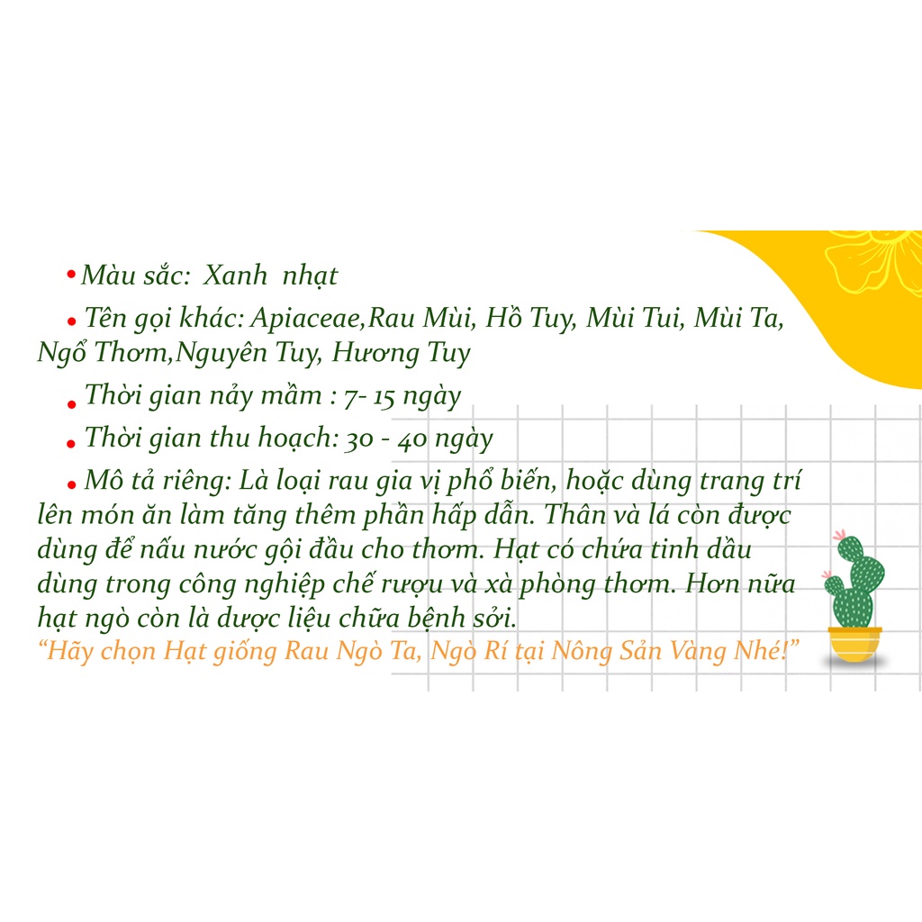 Hạt giống Rau Ngò Ta (Ngò Rí) ( Gói 20 Gram ) - Nông Sản Vàng