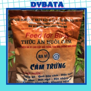 Cám trứng Ba Vì ( k team) thức ăn chim cảnh - Mồi câu cá