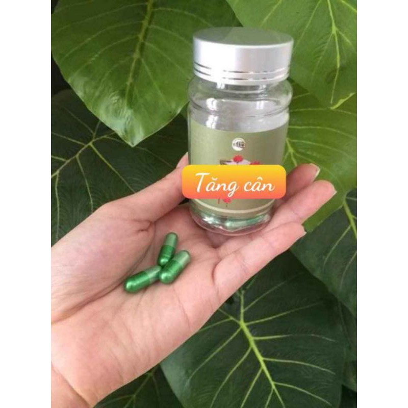 Thảo mộc tăng cân gold | BigBuy360 - bigbuy360.vn