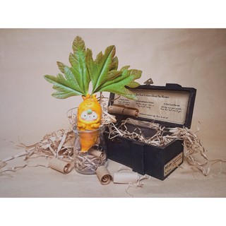 Cà Rốt Ấm Áp (Bộ Cây Lắng Nghe)