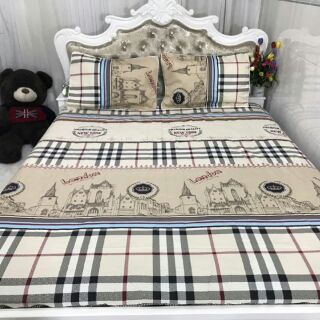 Cotton Hàn Quốc