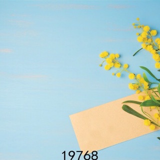 Thảm 3d chụp ảnh