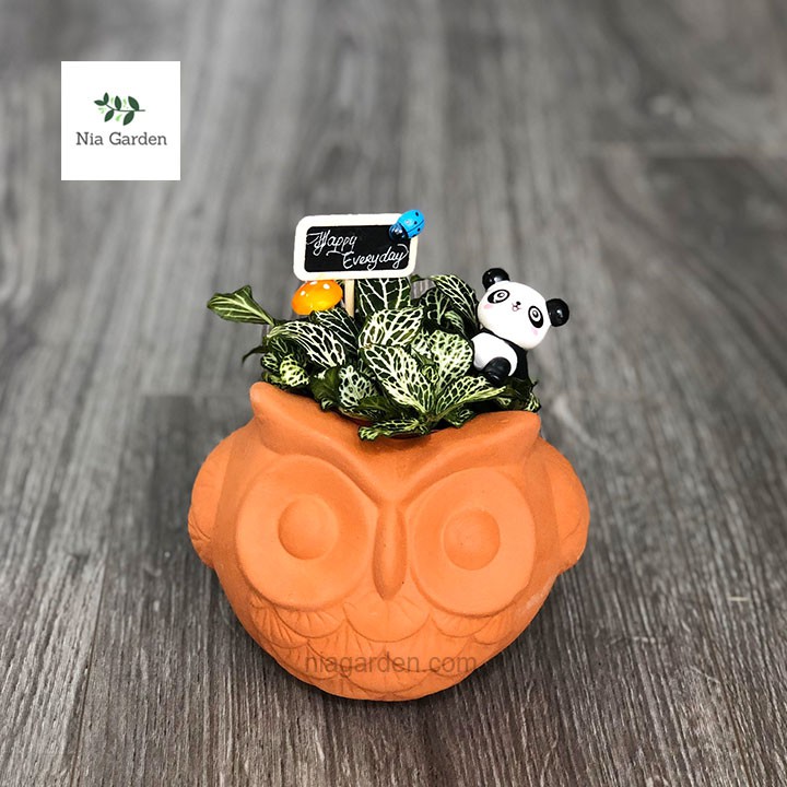 Chậu cú mèo đất nung trồng sen đá xương rồng mini cú banh tròn Nia Garden N4