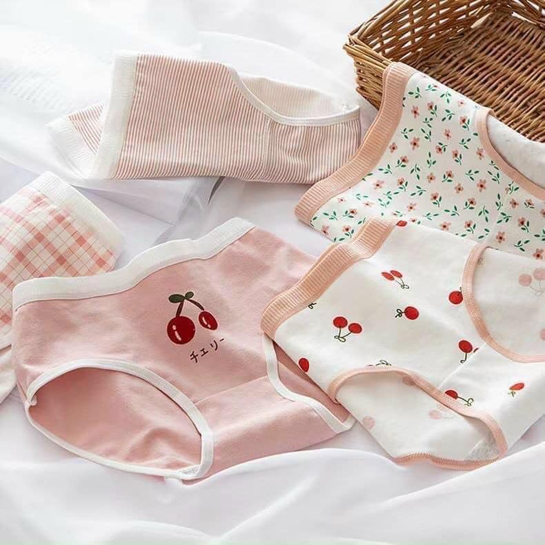 Hộp 4 quần chip học sinh 35-50kg hình ngộ nghĩnh chất cotton đẹp