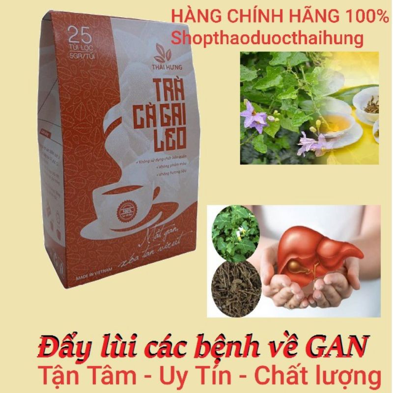 [Chính Hãng]1 bịch trà cà gai leo Thái Hưng 25 túi lọc tốt cho gan