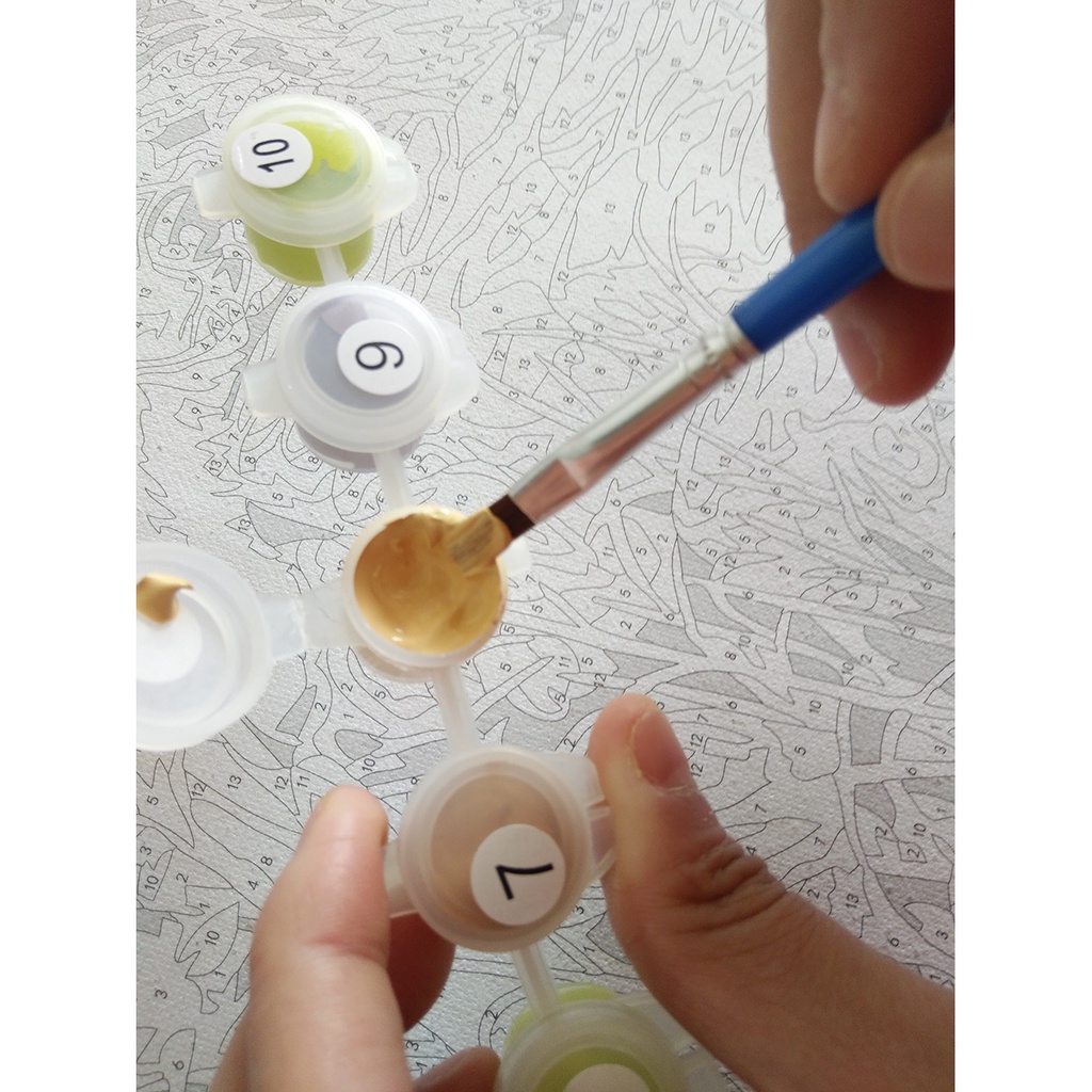 Tranh sơn dầu 40*50Cm tự làm hình hoa không khung