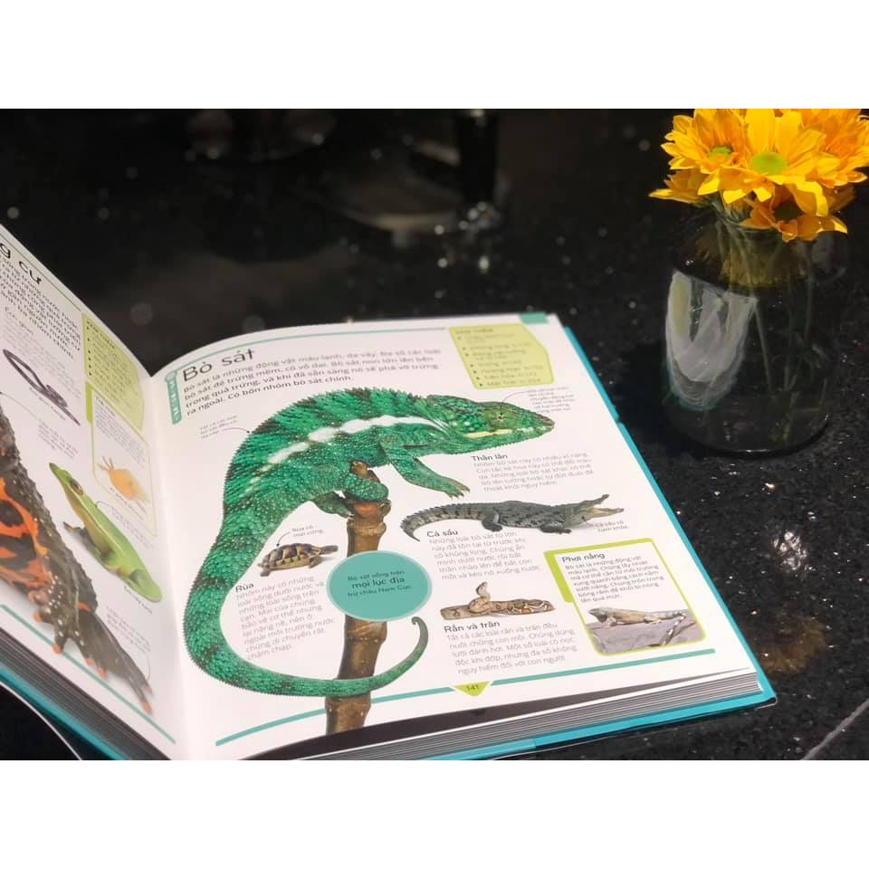 Sách - Bách Khoa Thư Trẻ Em Cuốn Sách Lý Giải Vạn Vật - DK - Bình Book