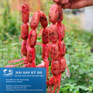 Giá sỉ 1kg Lạp Xưởng Tươi - Q12