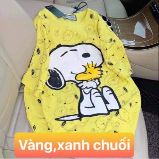 Áo thun các loại hình quảng châu J&Y, chọn màu