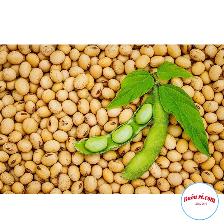 Đậu nành thuần chủng ngon sạch (500G) - Đỗ tương quê bổ dưỡng 00014