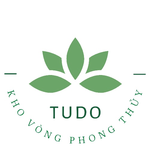 Nhẫn kim tiền bạc Thái chuẩn 925 freesize TUDO - Kho vòng phong thủy có kiểm định
