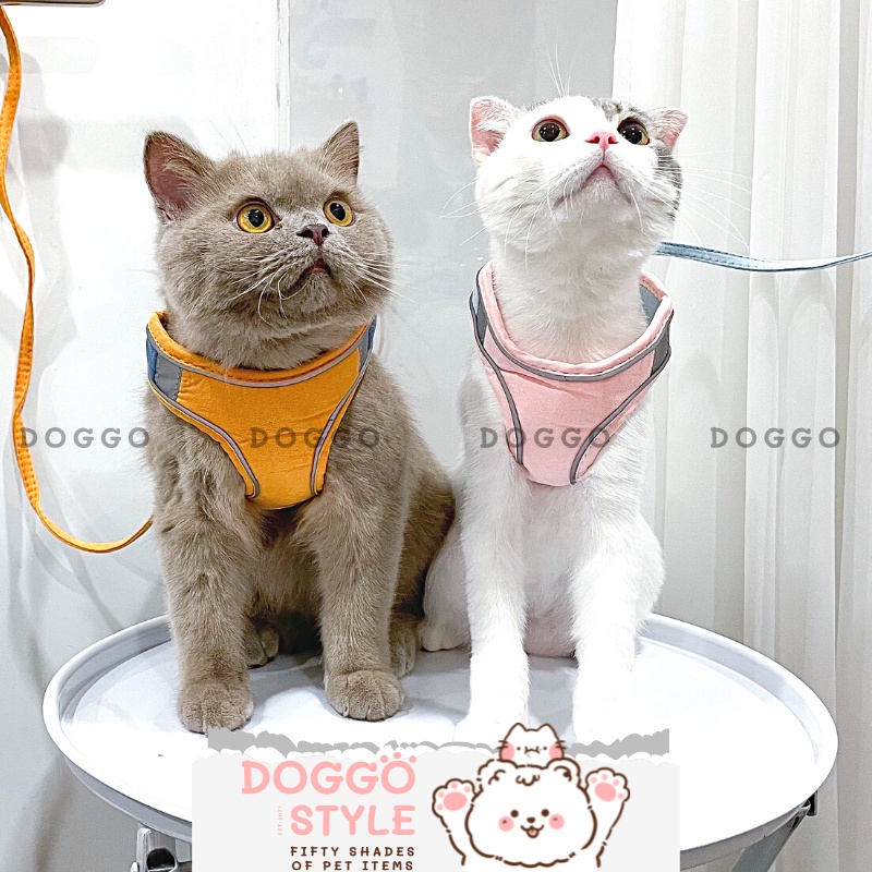 Dây Dắt Chó Mèo Đi Dạo Cao Cấp Dạng Yếm Khóa Dán Có Phản Quang Size Nhỏ Doggostyle - Yếm Dai Đai Thú Cưng